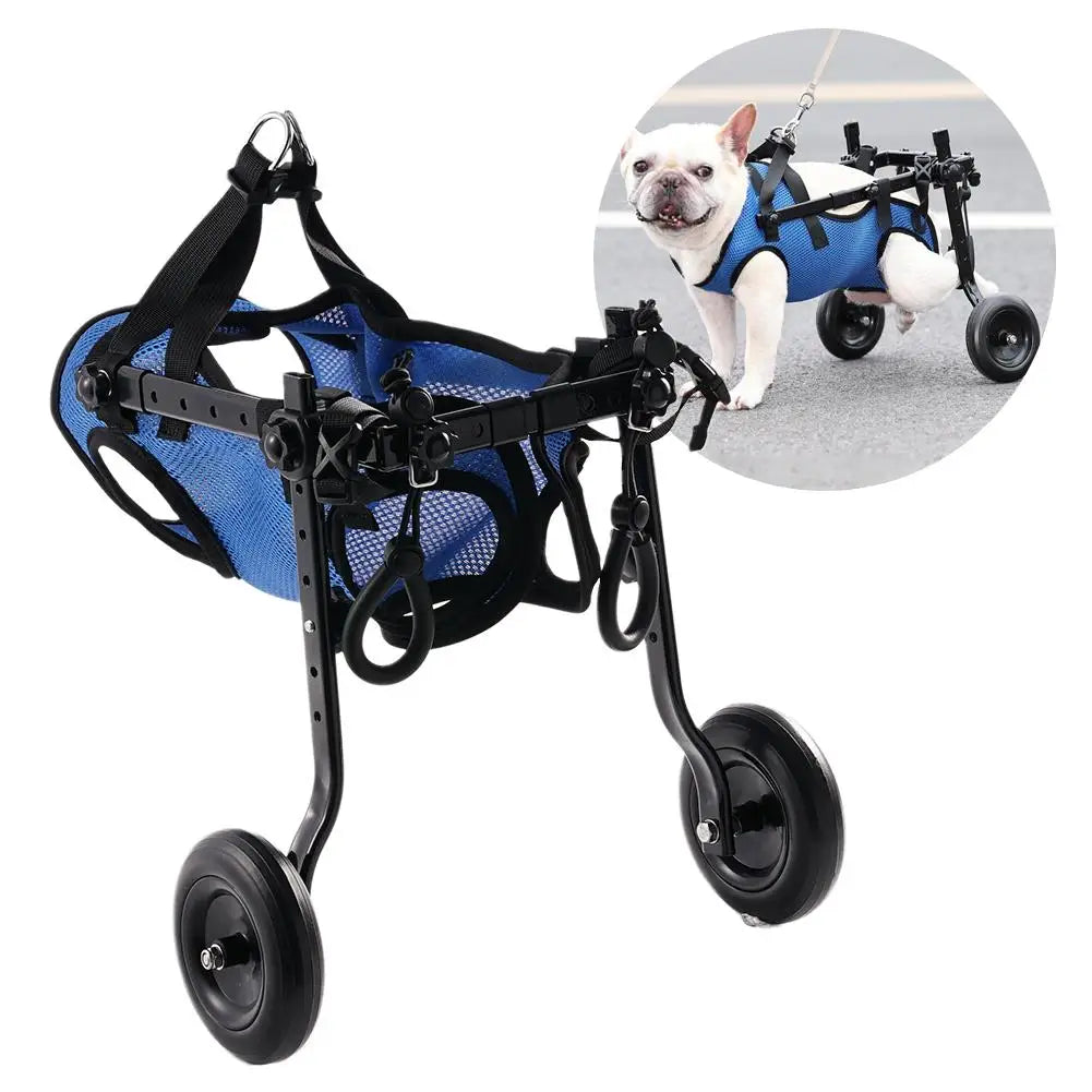 Chariot de mobilité réglable pour petits chiens et chats