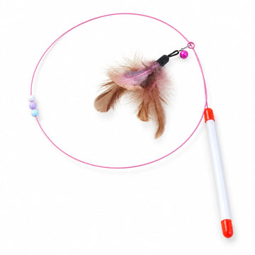 Canne à pêche à plumes pour chat — fond blanc