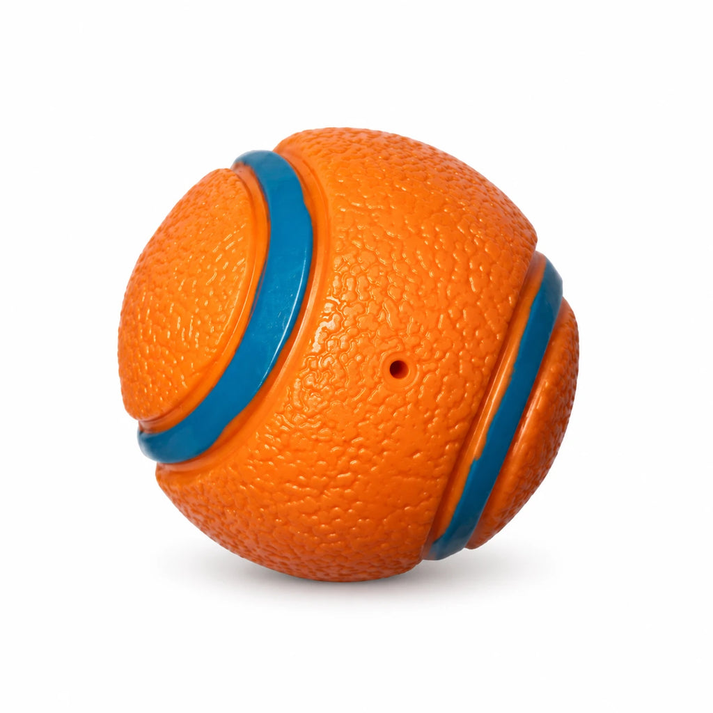 Balle orange à bandes pour chien — fond blanc