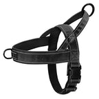 Harnais réglable pour chien — Balades et sorties — WOUF BAZAR