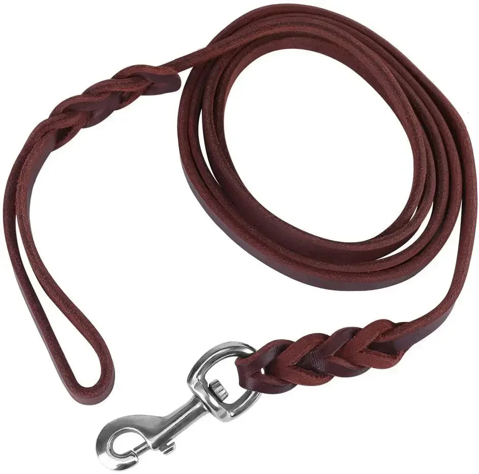 Laisse tressée en cuir pour chien — produit sur fond blanc