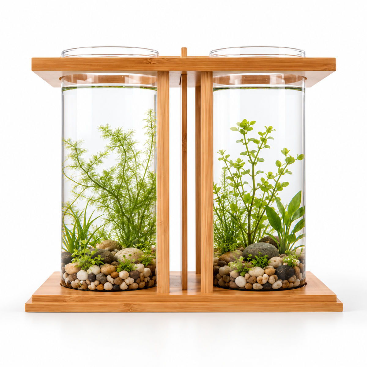 Double aquarium décoratif en verre sur support en bambou — suggestion d’aménagement