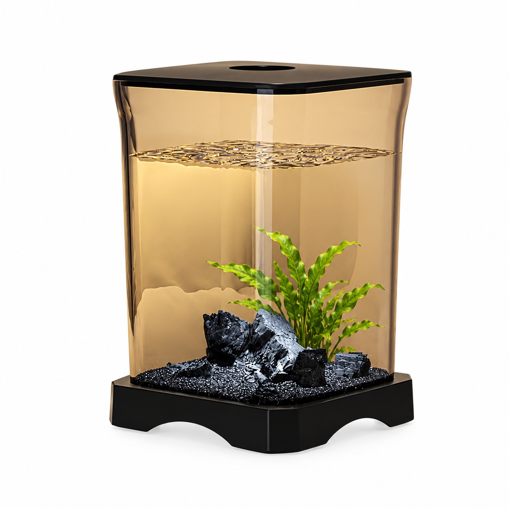 Aquarium de bureau noir avec éclairage — suggestion d’aménagement