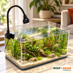 Aquarium de table transparent, mise en scène aquatique réaliste signée WOUF BAZAR — cuve vendue seule, décor et lampe non inclus