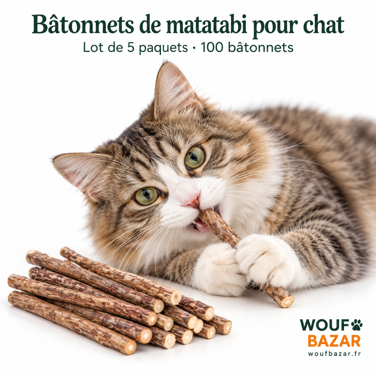 Notre chat mascotte mâchouille un bâtonnet de matatabi ; lot de 5 paquets de 20 bâtonnets