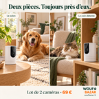 Deux caméras Wi-Fi dans deux pièces : une avec le chien au salon, l’autre avec le chat dans son coin détente