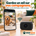 Mise en situation de la mini caméra Wi-Fi et d’un téléphone affichant un chien et un chat à distance — illustration d’utilisation