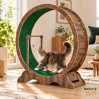 Mise en situation de la roue d’exercice brune à piste verte avec notre chat mascotte