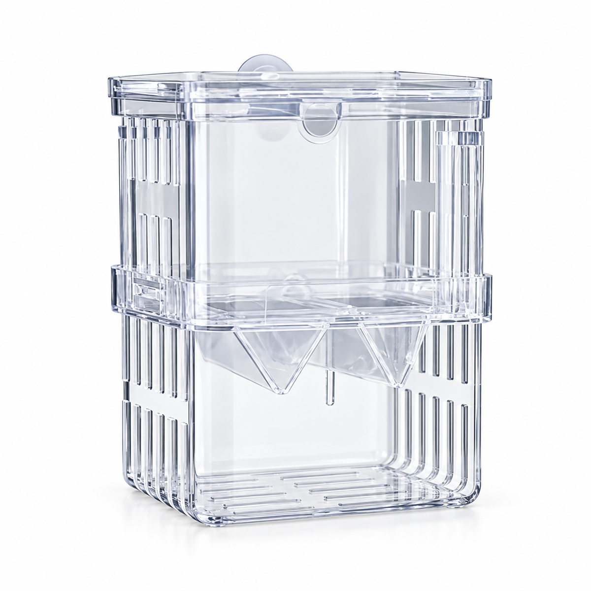 Petit bac transparent de reproduction et séparation pour aquarium