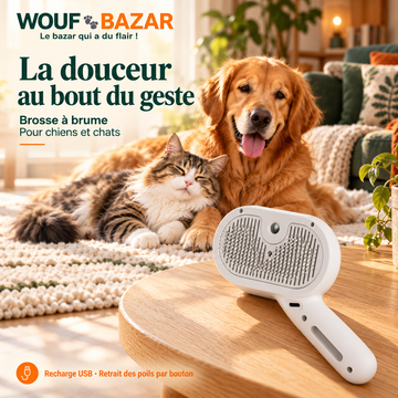 Brosse à brume pour chien et chat — Recharge USB — produit sur fond blanc