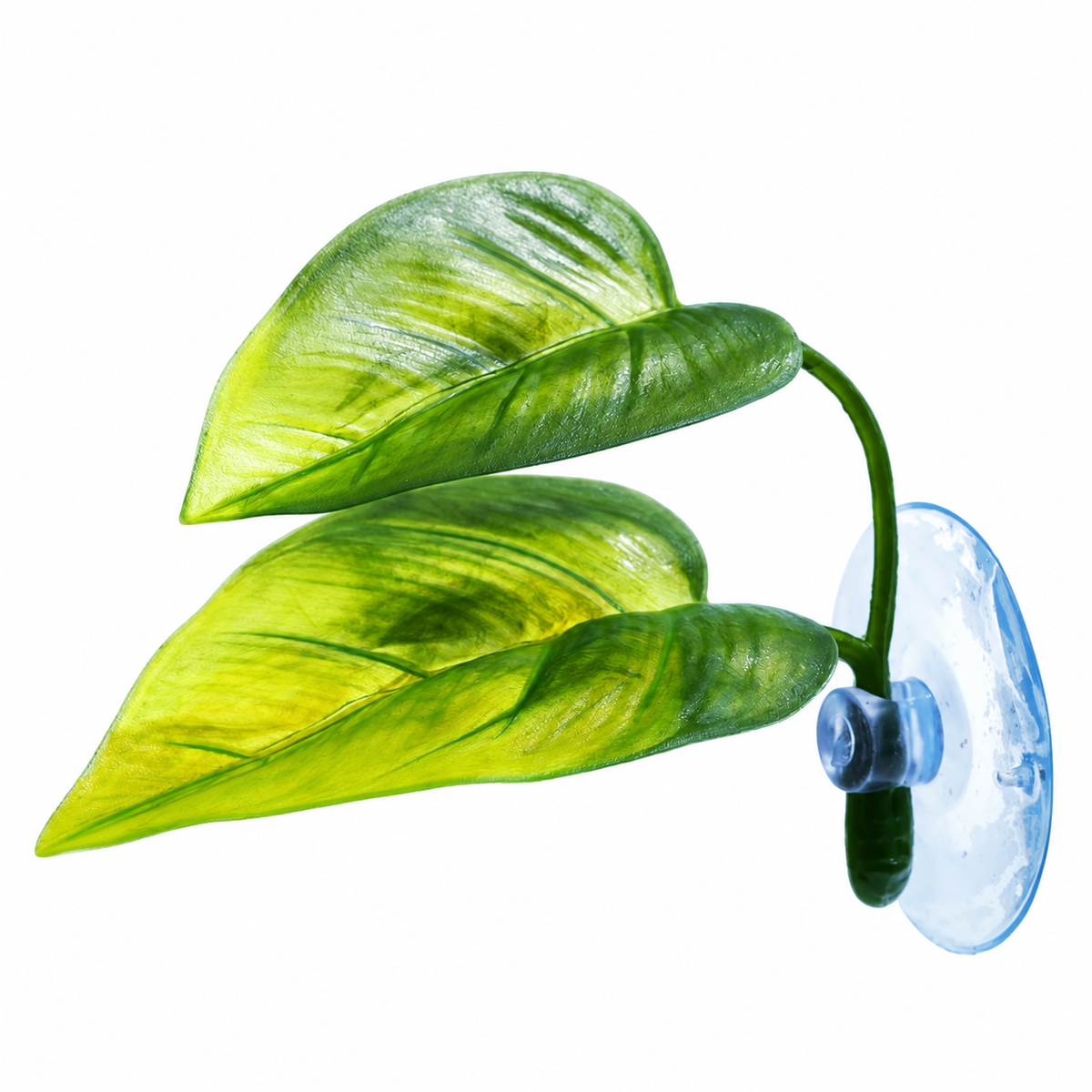 Feuilles artificielles de repos pour betta avec ventouse sur fond blanc