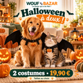 Nos mascottes chien et chat en costumes chauve-souris Halloween — lot de deux à 19,90 €