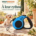 Laisse à enrouleur pour petit chien — 5 m — produit sur fond blanc