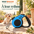 Laisse à enrouleur pour petit chien — 5 m — produit sur fond blanc